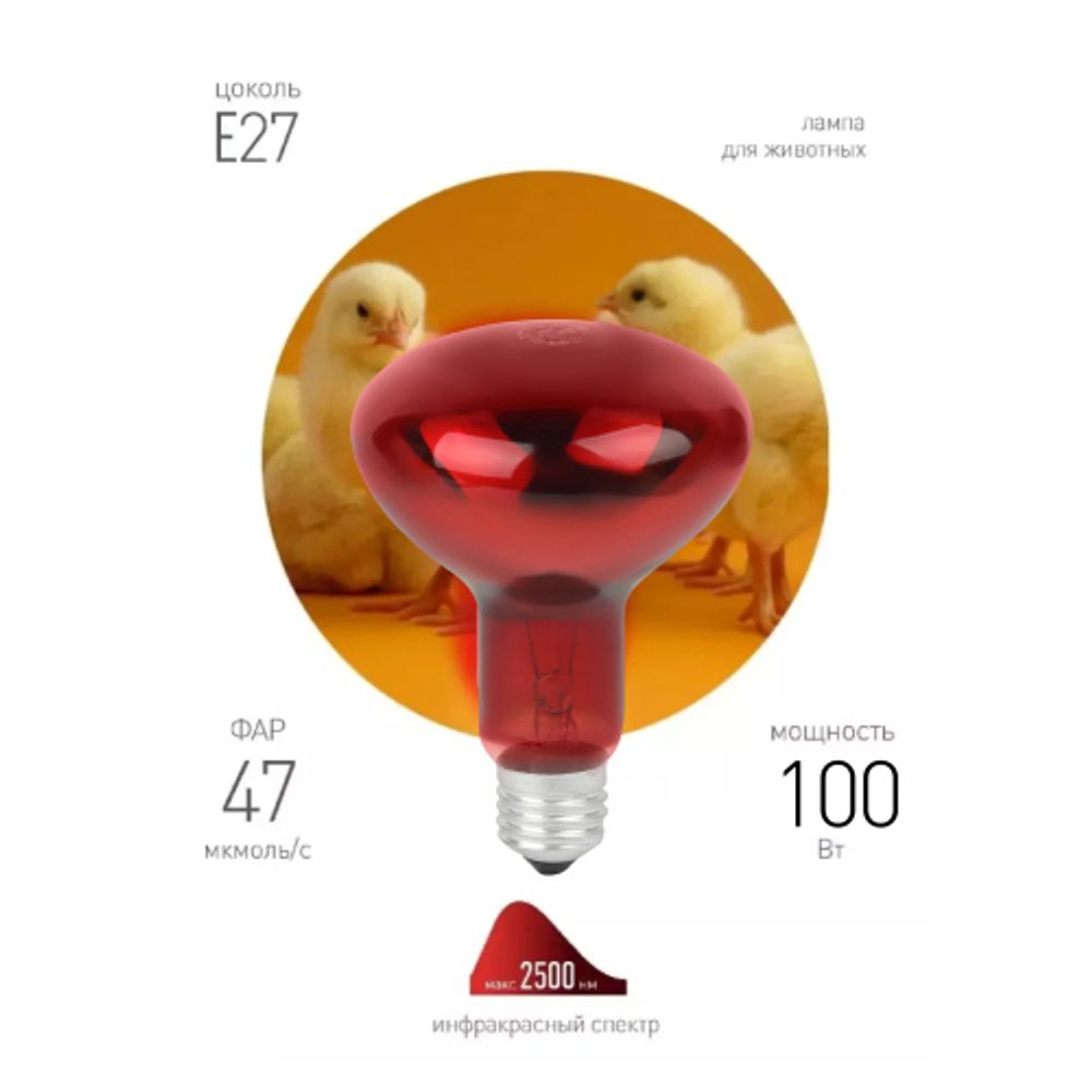 Комплект из 2-х инфракрасных ламп ЭРА ИКЗК 230-100 R95 E27 для курятника цыплят птиц животных/лампа для обогрева | Инфракрасные лампы