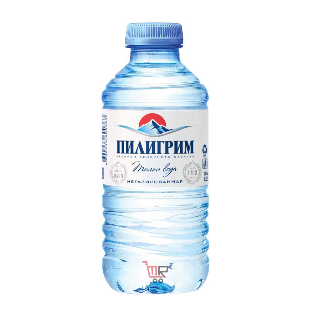 Вода Пилигрим 0,25л.