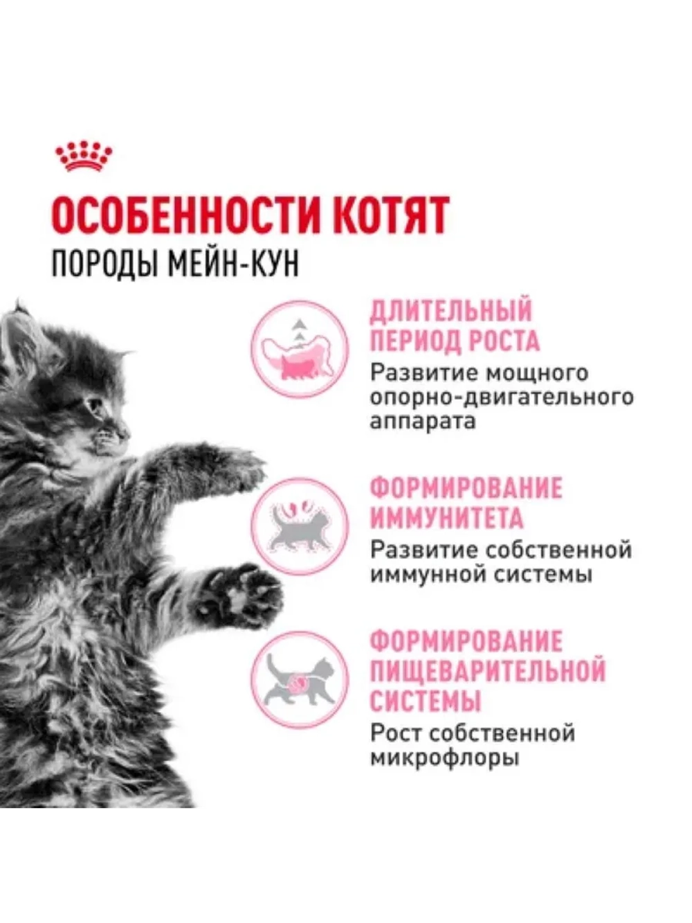 Maine Coon Kitten Корм для котят 400г