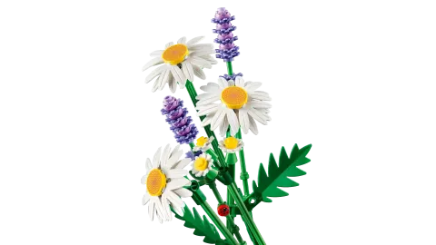 Конструктор LEGO Botanical Collection 11508 Daisies