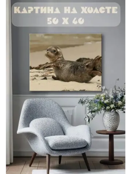 Картина на стену 40 X 50 Детеныш тюленя