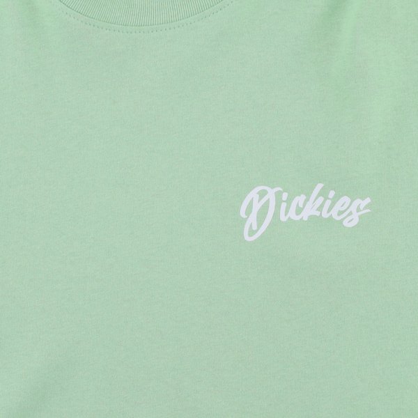 Футболка Dickies Dighton Graphic T-Shirt (quiet green) артикул: - купить в магазине Дайс
