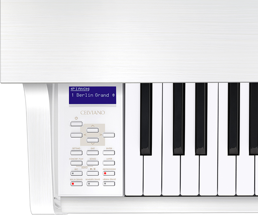 Casio GP-310