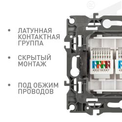 Розетка ЭРА Серия 12 12-3108-16 информационная двойная 2XRJ45 титан | Эра 12