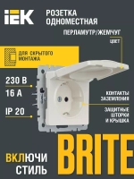 Розетка одноместная с заземлением Iek