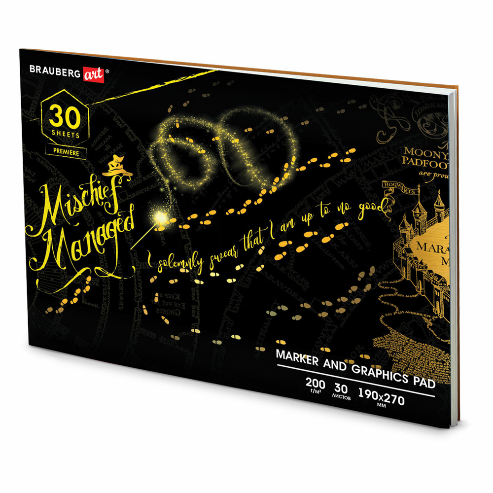 Альбом для графики и маркеров, "БРИСТОЛЬ" 200 г/м2, 190х270 мм, 30 листов, склейка, BRAUBERG ART PREMIERE, 115097