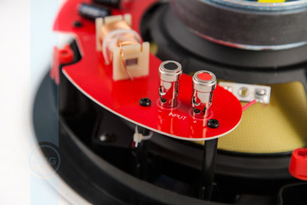 CVGaudio TXR808