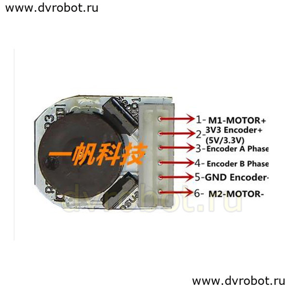 Мотор-редуктор N20/12В/1:50/600