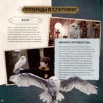 Гарри Поттер. Фантастические существа. Путеводитель по миру животных магической вселенной