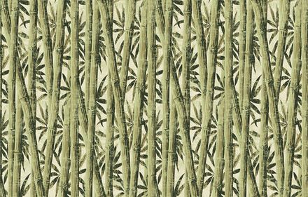 Amazonia / Амазония