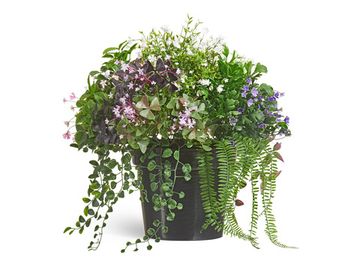 Цветущее разнотравье куст