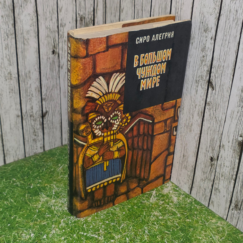 книга " В большом чуждом мире "
