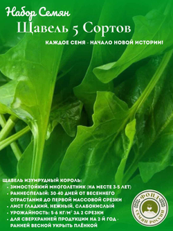 Набор семян УКРОП брак