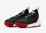Заказать Nike LeBron 16 GS Bred