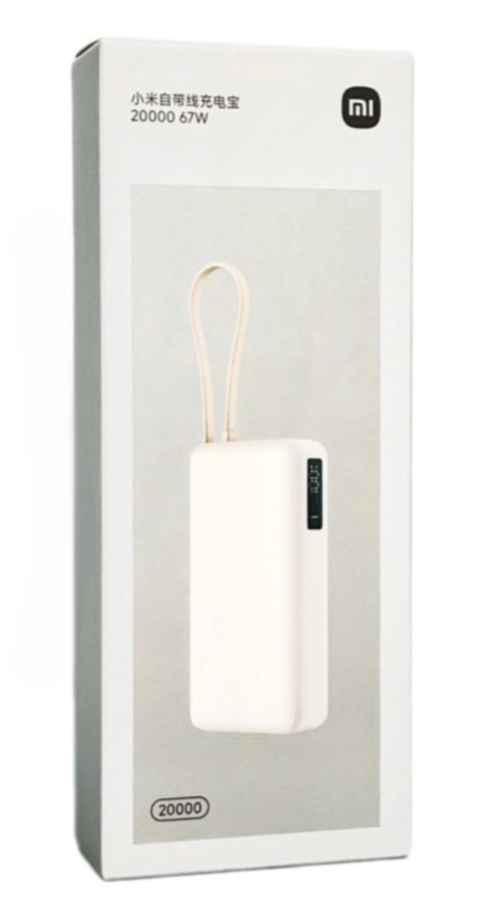 Powerbank Xiaomi 20000mAh 1USB/1USB-С/кабель Type-C 67W (PB2067) светло-серый