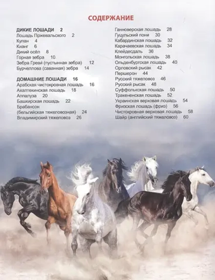 ЭНЦИКЛОПЕДИЯ ДЛЯ ДЕТЕЙ новые. ЛОШАДИ