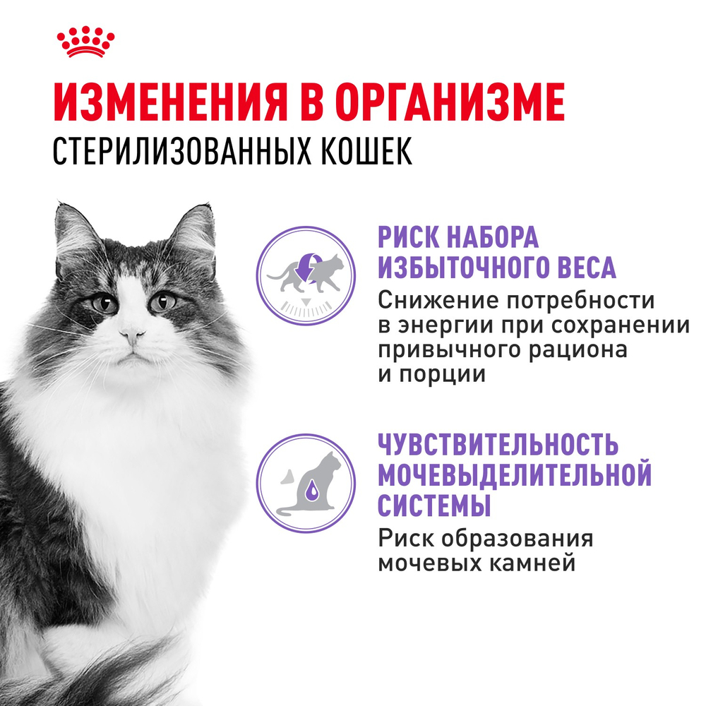 Royal Canin Sterilized Стерилайзд Корм влажный для взрослых стерилизованных кошек от 1 года до 7 лет паштет 85г