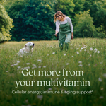 New Chapter, One Daily Every Woman's Multivitamin™ 40+, мультивитамины для женщин старше 40 лет, 96 вегетарианских таблеток