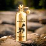 Montale Arabians EDP