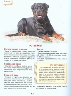 ЭНЦИКЛОПЕДИЯ ДЛЯ ДЕТЕЙ новые. СОБАКИ