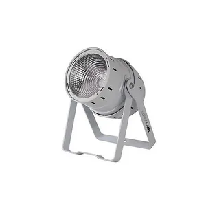 LED PAR