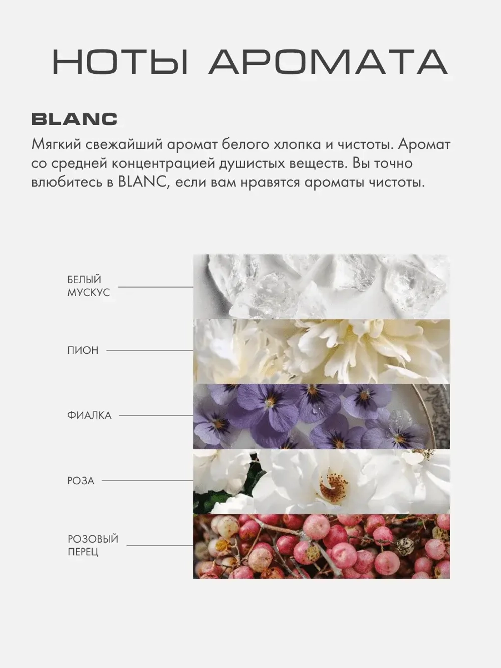Диффузор Бланк (Blanc) M