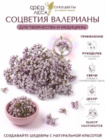 Валериана цвет сушеный для магии, творчества и рукоделия