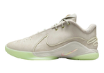 Купить LeBron 22 Dunkman