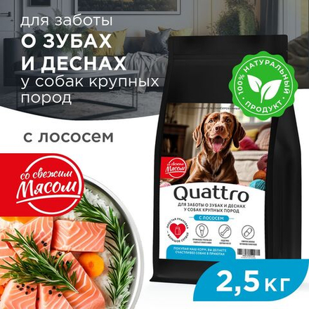Корм сухой для взрослых собак крупных пород, премиум полнорационный комплекс, для заботы зубов и десен, с лососем, 2,5 кг, QUATTRO
