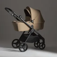 Коляска ANEX iQ 2 в 1 Honey