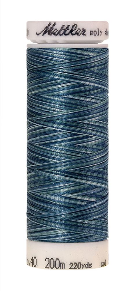 Нить вышивальная Mettler Poly Sheen Multi 40 (200 м), 5 кат. | цв. 9928 Нить вышивальная Mettler Poly Sheen Multi 40 (200 м), 5 кат. | цв. 9928