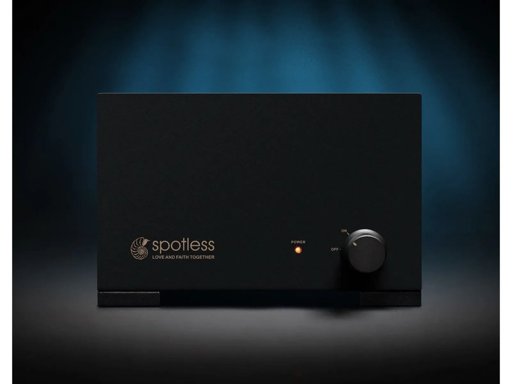 Усилитель для акустики Spotless Audio P250 Monoblock 1 шт
