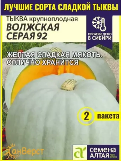 Семена сладкой тыквы на посадку Волжская Серая