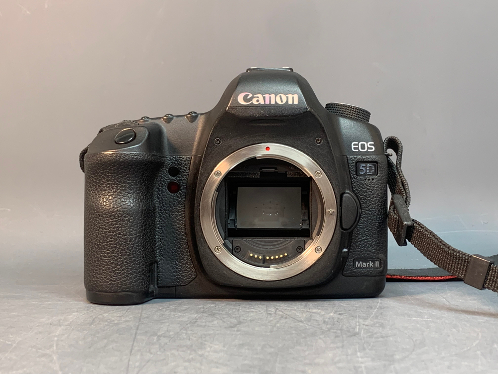 Canon EOS 5D Mark II 429.043 кадров