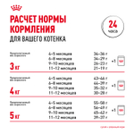 Royal Canin Persian Kitten Персиан Киттен Корм сухой для котят персидской породы до 12 месяцев 400г
