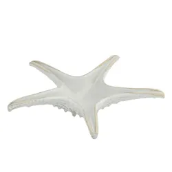 Блюдо для подачи 24 см h6 см для закусок Звезда Gray Starfish Frutti di Mare P.L. [1]