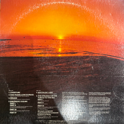 Виниловая пластинка Jean-Luc Ponty ‎– Enigmatic Ocean LP