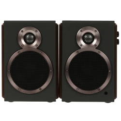 FiiO SA1 Черный [Black] — активная полочная акустическая система (пара)