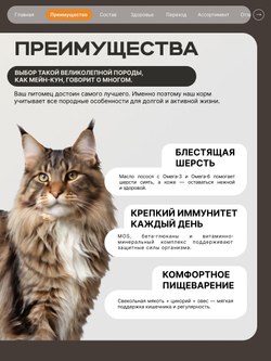 Корм сухой для взрослых стерилизованных кошек породы Мейн-кун, полнорационный комплекс, с индейкой, 5 кг, QUATTRO