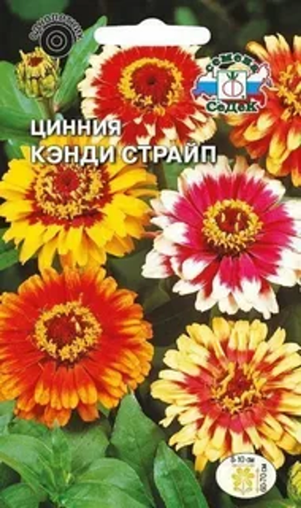 Цинния Кэнди страйп 0,5г (Седек)