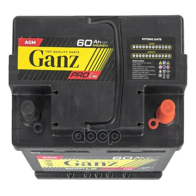 Аккумулятор GANZ PRO-Line AGM 60 А/ч обратный R+ 242x175x190 L2 EN 640 А