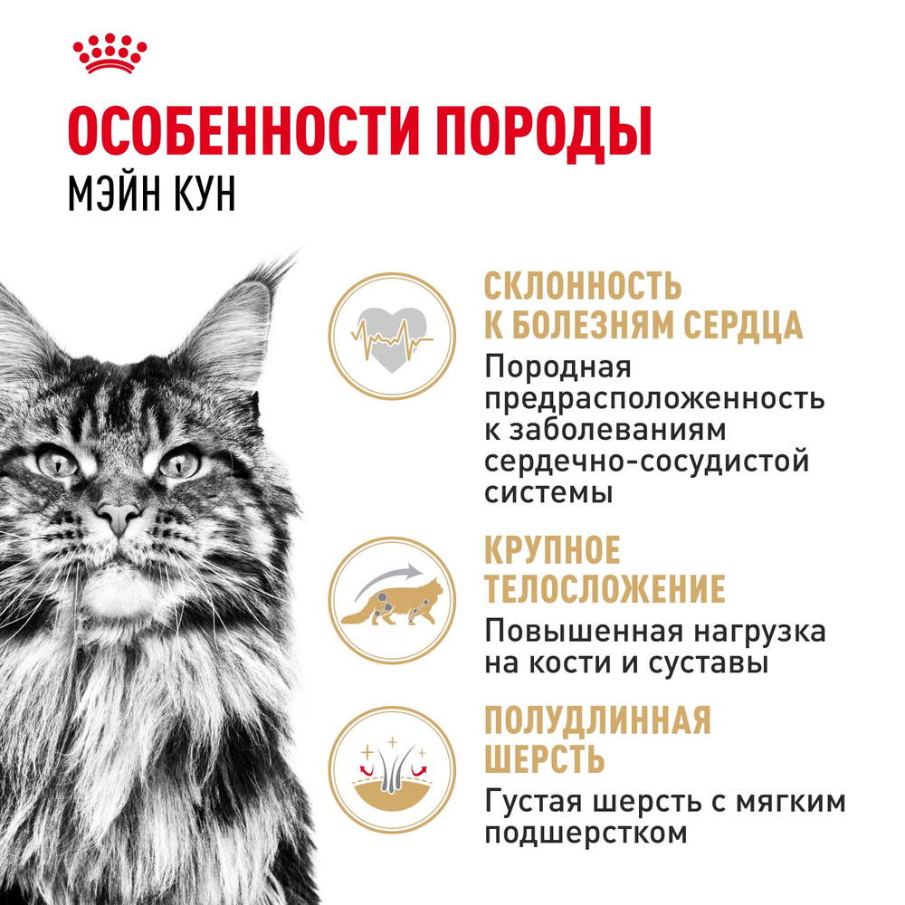 Royal Canin Maine Coon Adult Мейн Кун Эдалт Корм влажный для взрослых кошек породы Мэйн Кун соус 85г