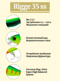 Воблер Минноу Rigge 35SS 35 мм 2.2 г цвет #06
