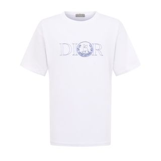 Мужские футболки Christian Dior