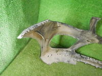 DSCN7851.JPG