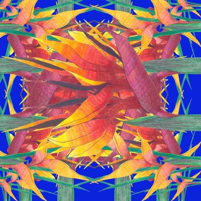 Стрелиция 1 (blue)