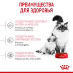 ROYAL CANIN Mother & Babycat Корм сухой для беременных и кормящих кошек; для котят от 1 до 4 месяцев и в период отъёма, 400 г