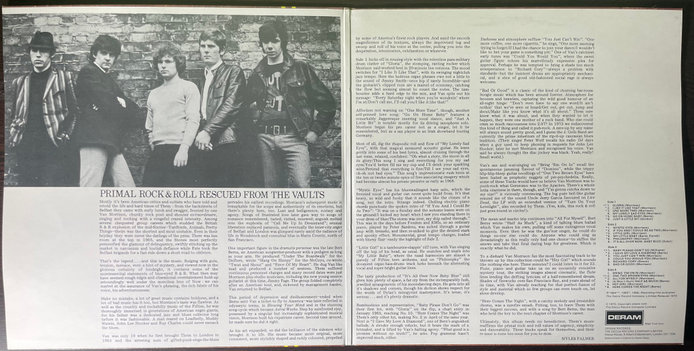 Them – Them Featuring Van Morrison Lead Singer 2LP (Англия)