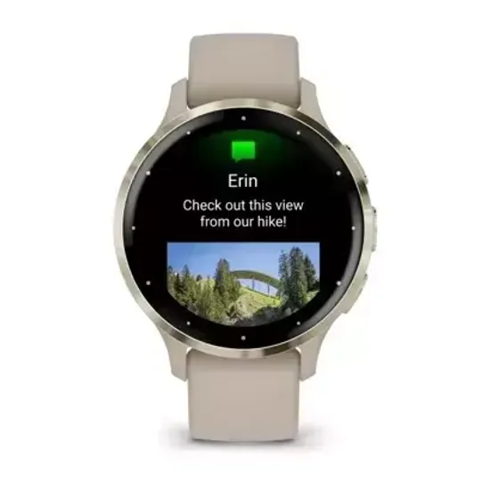 Смарт-часы Garmin VENU 3S French grey case and silicone band 010-02785-02