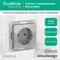 Розетка с заземлением без шторок Systeme Electric AtlasDesign Алюминий ATN000343